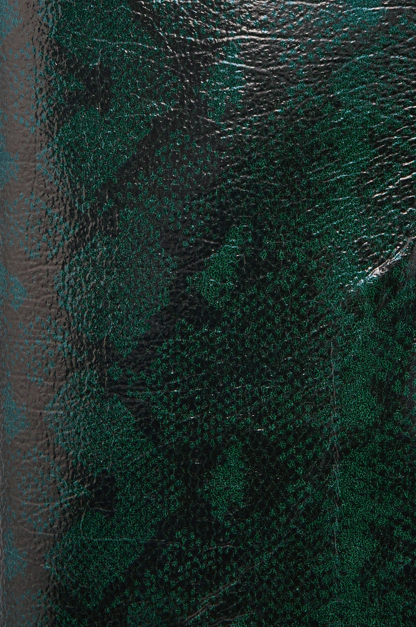 Jupe Python
