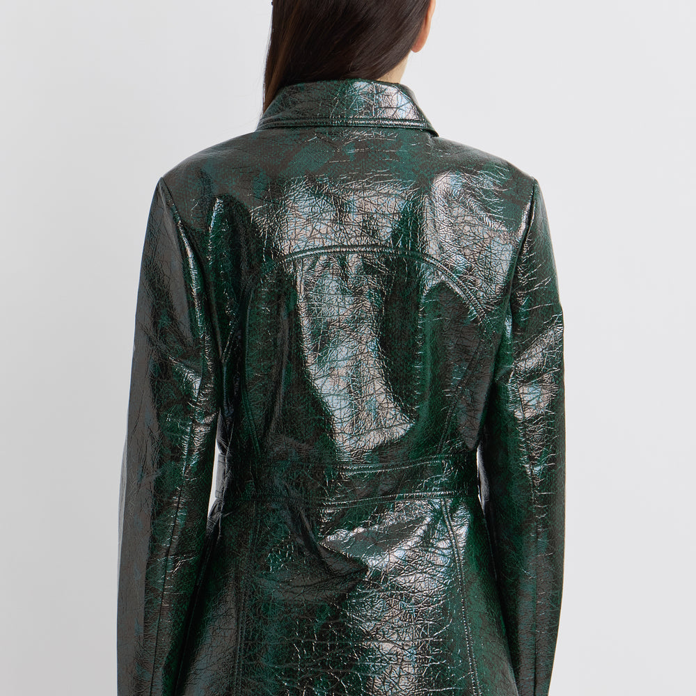Veste Python