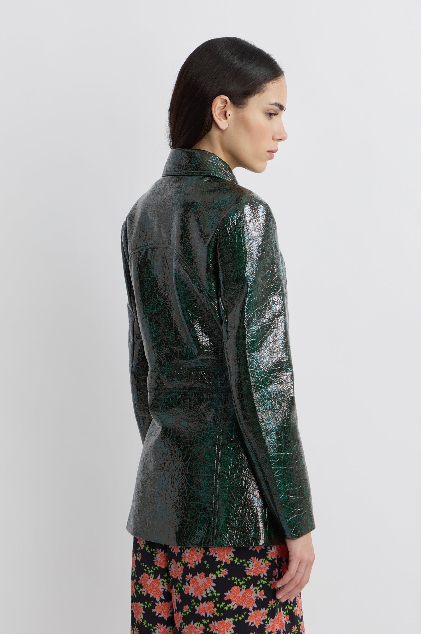 Veste Python