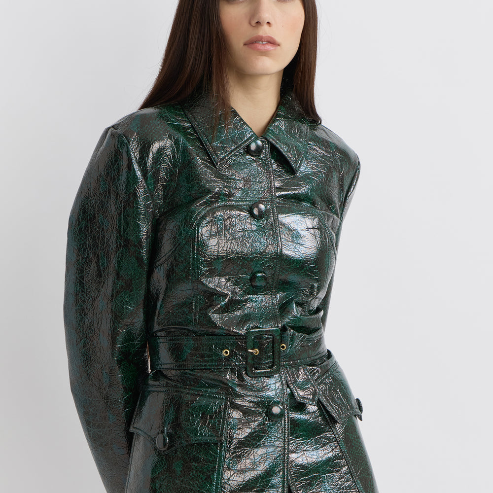 Veste Python