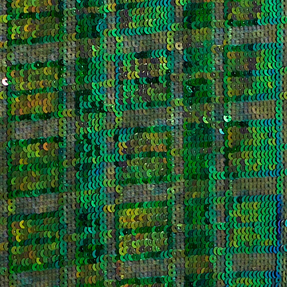 Sequins Trousers