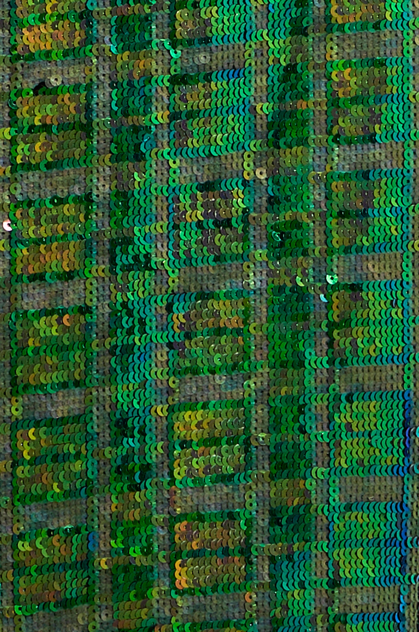 Sequins Trousers